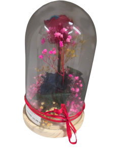Rosa Eterna en Cúpula